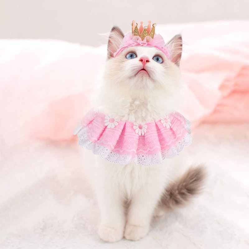 Mačka Bandana Princess Cat Kostimi Slatke čipkaste pseće bandane Mačja kruna Dodaci za mačiće Male pse Odijelo za djevojčice Rođendanska zabava