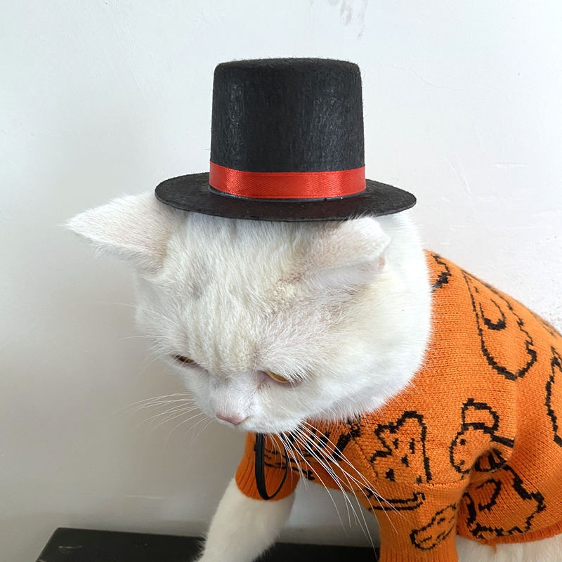 Šešir za kućne ljubimce Lijepi gornji dio šešira za kućne ljubimce Kostim za tvrtke Top šešir za mačke, pse, besplatna dostava