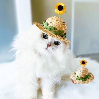 9 cm tavaszi napraforgó virágos macska szalmakalap Sombrero strand aranyos kutya napsapka buli kalapok Hawaii stílusú házi kedvencek sapka kutyáknak Kiegészítők
