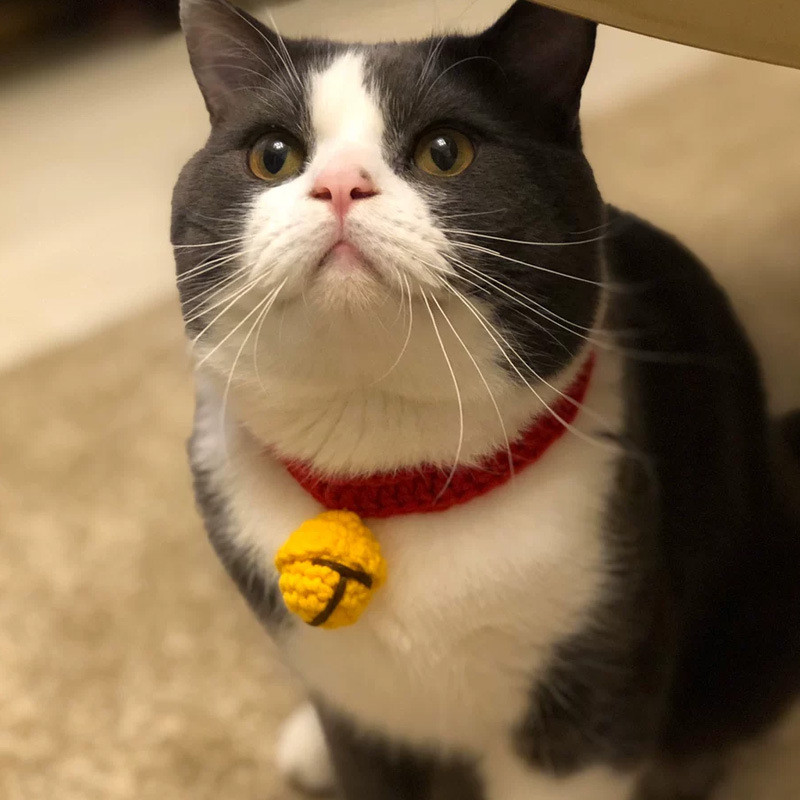 Mačji vrat na rukavima Zvona Ogrlica za sijamsku mačku Dodaci za kućne ljubimce Ručno izrađena ogrlica Mačka Britanska kratka vunena simpatična ogrlica