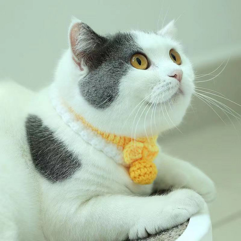 Podesiva mekana heklana ogrlica za psa, mačku, vunenu ogrlicu, slatki dodaci za vrat za kućne ljubimce, slatko štene, maca, šal za pletenje leptir mašna, poklon za ljubimca