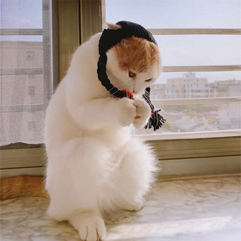 Καπέλο κεφαλής γάτας Χειροποίητο καπέλο πλεξούδας Καπέλο περούκα γάτας Κοντό αμερικανικό κοντό κάλυμμα κεφαλής γάτας Αξεσουάρ για κατοικίδια Πλεκτό καπέλο