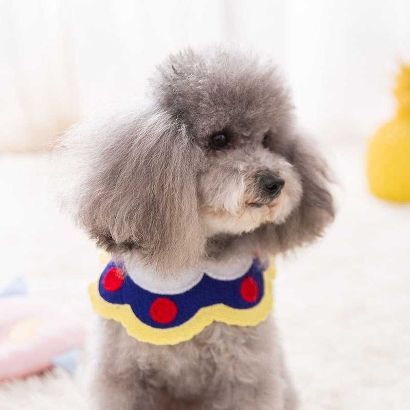 Pas, mačka, stil princeze, dodaci, kućni ljubimac, mačka, slina, ručnik, psi, pletena leptir mašna, ovratnik, štene, mačić, trokutasti šal, biber, pseće bandane