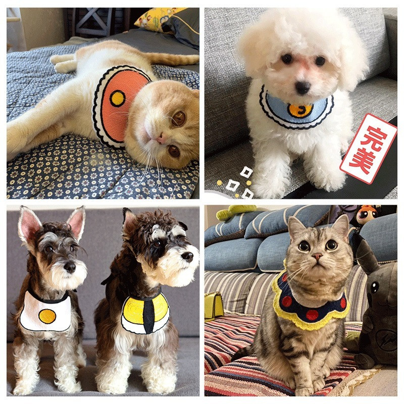 Pas, mačka, stil princeze, dodaci, kućni ljubimac, mačka, slina, ručnik, psi, pletena leptir mašna, ovratnik, štene, mačić, trokutasti šal, biber, pseće bandane