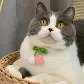 Heklani šal s ogrlicom od slatke trešnje, bijeli mače, pas, ogrlica, šal za kućne ljubimce, dodaci za mace, yorkija, čivavu