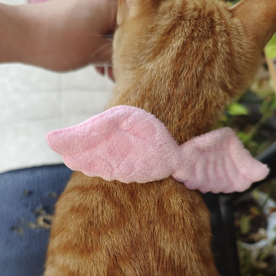 mačka anđeo ovratnik pribor za kućne ljubimce pribor za mačiće odjeća za mačke zec pribor kućni ljubimac