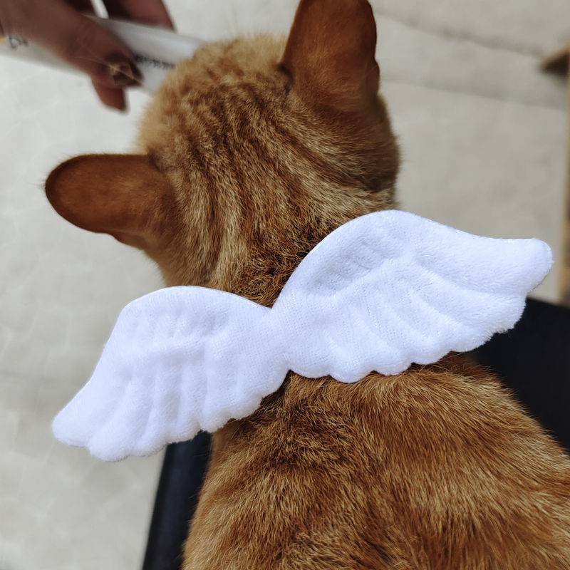 mačka anđeo ovratnik pribor za kućne ljubimce pribor za mačiće odjeća za mačke zec pribor kućni ljubimac