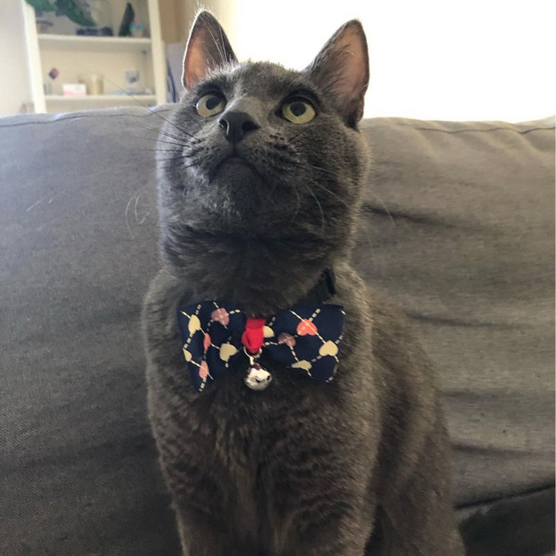 Dodaci za njegu mačaka za kućne ljubimce Ogrlica za mačke s leptir mašnom i zvonom sa slatkim printom, podesiva ogrlica s leptir mašnom za psa, mačku za kućne ljubimce