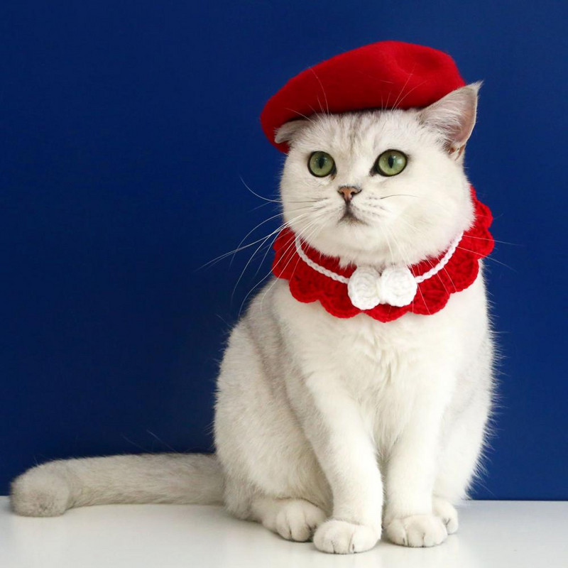 Elegantna kapa za kućne ljubimce Prozračna kapa za štene Slatki kućni ljubimac Puppy Kittens Dekoracija Kapa za beretke Rekviziti za fotografije