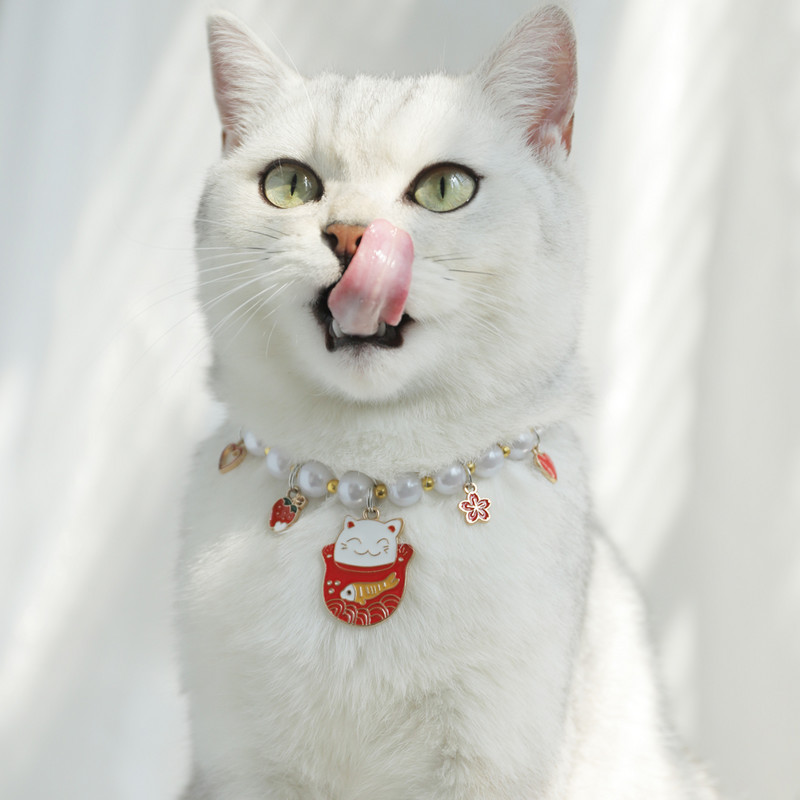 HOOPET Cat Bib Pet Bib Ragdoll Cat Šalle Kaķa dzimšanas dienas saģērbt Kaķēnu rotājumi Princeses kaklarotas aksesuāri