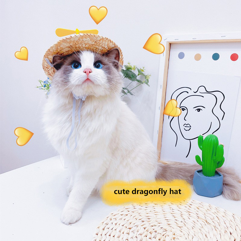 Slatki tkani slamnati šešir Dodatak za kostim za psa, mačku, šešir, proljeće, ljeto, smiješan šešir za sunčanje, krilo vilin konjic, pompon, mače, štene, pokrivalo za glavu