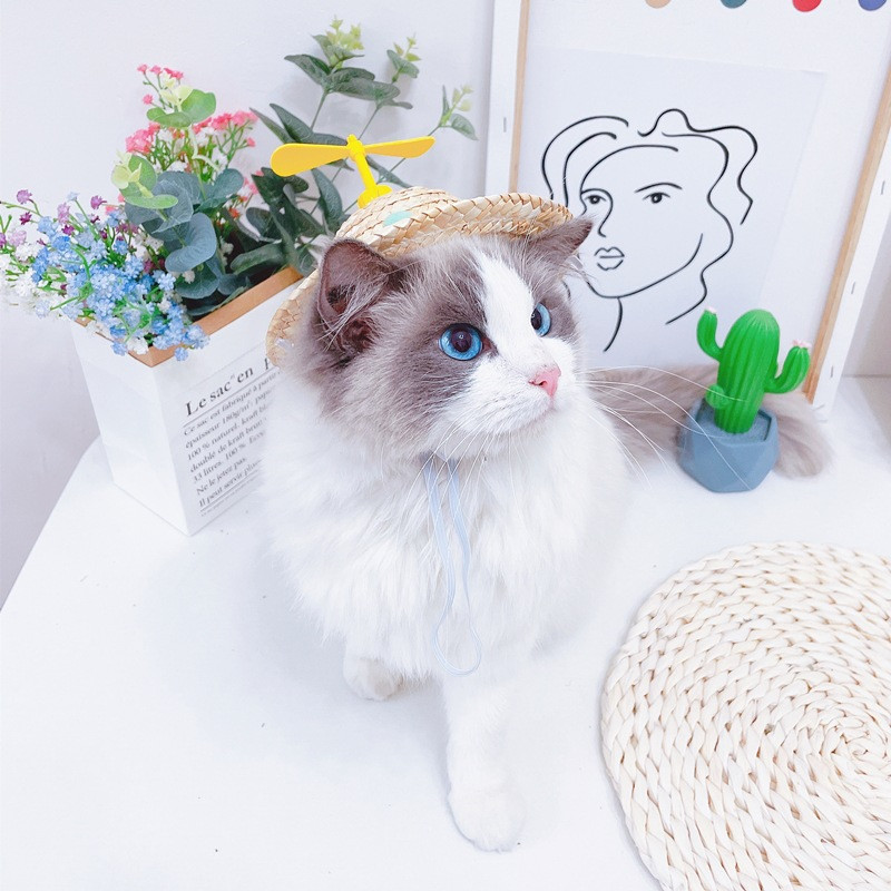 Slatki tkani slamnati šešir Dodatak za kostim za psa, mačku, šešir, proljeće, ljeto, smiješan šešir za sunčanje, krilo vilin konjic, pompon, mače, štene, pokrivalo za glavu