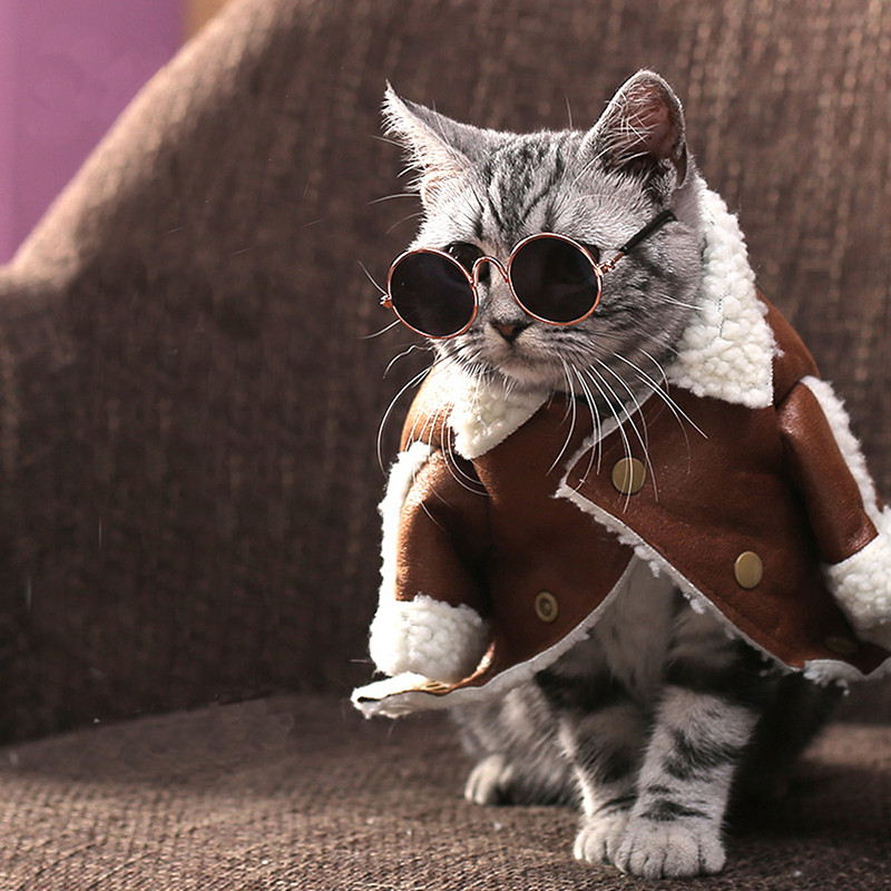 Slatke mačje naočale za kućne ljubimce Šarene vintage okrugle sunčane naočale za mačke Pse Nošenje očiju za refleksiju Naočale Metalni dodaci za fotografije kućnih ljubimaca