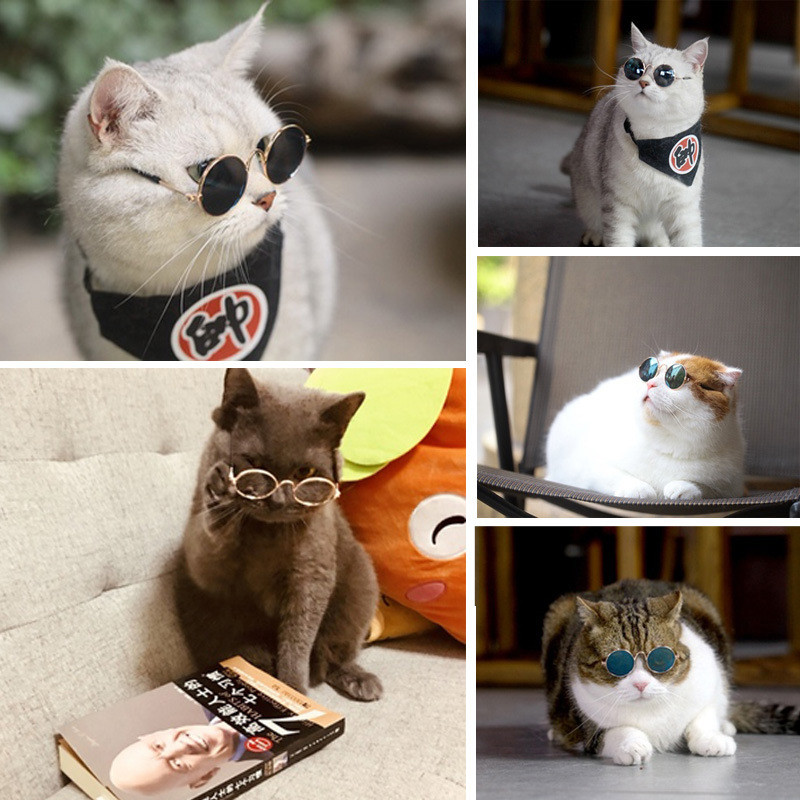 Slatke mačje naočale za kućne ljubimce Šarene vintage okrugle sunčane naočale za mačke Pse Nošenje očiju za refleksiju Naočale Metalni dodaci za fotografije kućnih ljubimaca