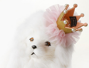 Γάτα κατοικίδιο ζώο Πριγκίπισσα φουρκέτα Σκύλος Δαντέλα στέμμα Διακόσμηση πάρτι γενεθλίων Φωτογραφία Διακόσμηση για κατοικίδια προμήθειες για σκύλους