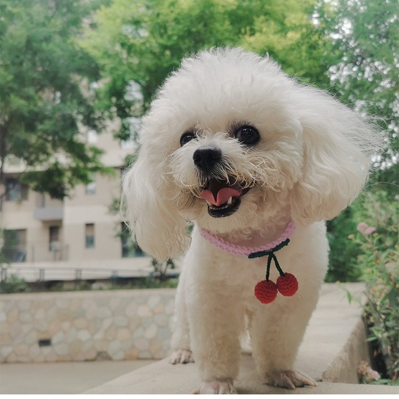 Trešnja ogrlica za mačke Kućni ljubimci Psi Pletena ogrlica s loptom Slatka podesiva kravata Ručna maca Šal Božićni dodaci za kućne ljubimce
