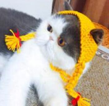 Mājdzīvnieka cepure Ar rokām austa jauki mājdzīvnieku rotaslietas kaķu suns multfilma ballīte mājdzīvnieku galvassega Suņu aksesuāri maziem suņiem Mājas kaķis