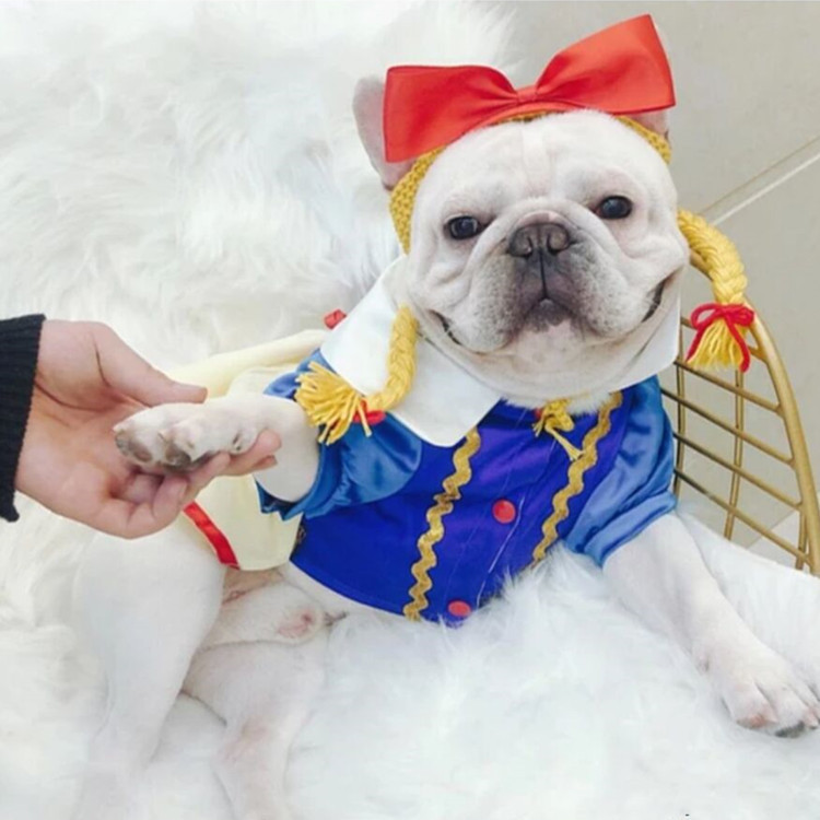 Mājdzīvnieka cepure Ar rokām austa jauki mājdzīvnieku rotaslietas kaķu suns multfilma ballīte mājdzīvnieku galvassega Suņu aksesuāri maziem suņiem Mājas kaķis