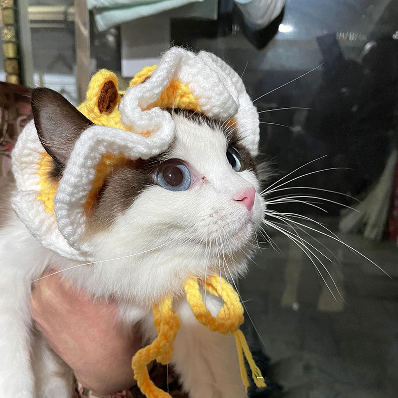 Dzīvnieku saldā kaķa cepure Jaunajam gadam Smieklīgs kostīms Ziemassvētku vecīša aļņa suns kucēna cepure Sarkans mājdzīvnieka apmetnis Jauki kaķēni Aksesuāri Jorkas mopša dekorēšana