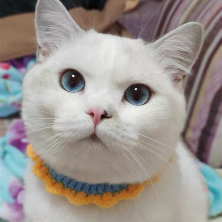 Ovratnik za mačke Šal u obliku suncokreta Slatka ručno heklana ogrlica Ogrlica za male pse Ogrlica za mačke Ogrlica za kućne ljubimce Pribor za kućne ljubimce