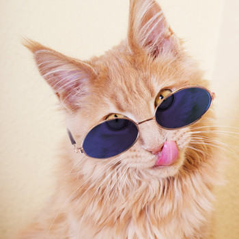 Слънчеви очила за кучета Продукти за котки за домашни любимци Прекрасни винтидж очила с кръгли отражения за носене на очи за малко куче, котка, снимки на домашни любимци, реквизит, аксесоари