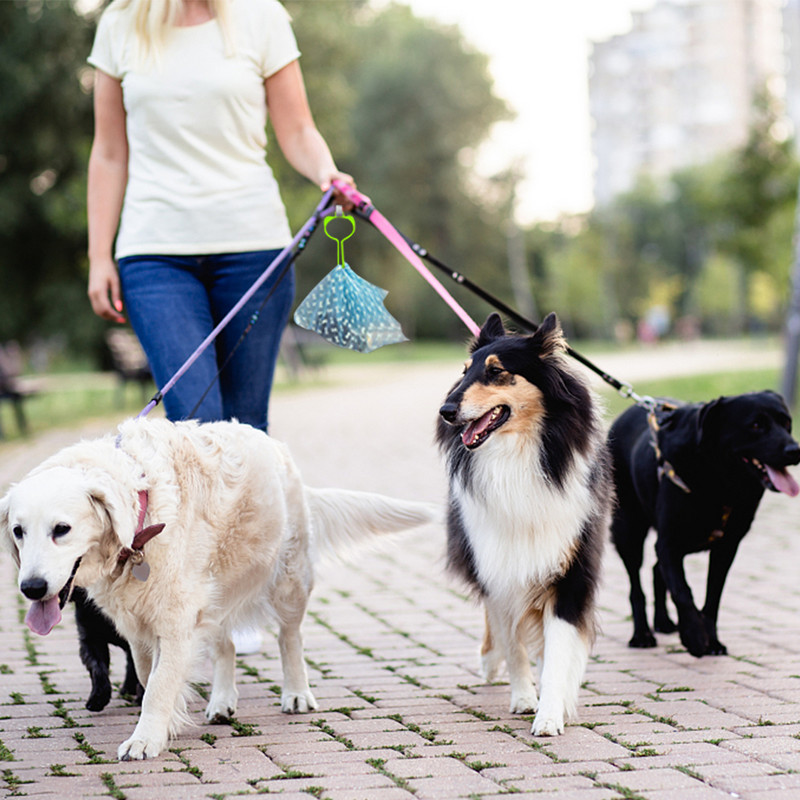 Držač za vrećicu za pseći izmet Držač za povodac Dispenzer za čiste alate Šetanje za vreću za izmet za pse Podesivi Hands Free držač za čvorove Potrepštine za kućne ljubimce