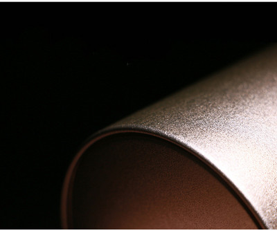 Metalne urne za kućne ljubimce za pepeo Urnen Voor Menselijk Honden Urn Kremiranje Ljudski Pas Mačke Zec Kovčeg Pogrebne Urne Funeraire Crematie