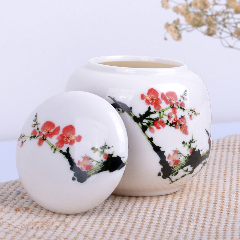 urna suvenir u kućnom ljubimcu suvenir keramika porculanske posude pepeo kremiranje pogreb umjetničko djelo lijes skladište otporno na vlagu