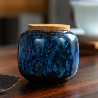 Jauna mājdzīvnieku urna putns suns mājdzīvnieku urnas kremēšana mājdzīvnieku zārki bēru vāze kaķu kremēšanas pelni cilvēku pelniem izgatavoti keramika ar rokām apgleznoti