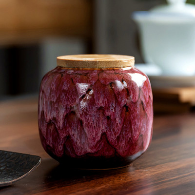 Nova urna za kućne ljubimce Ptice Pas Urne za kućne ljubimce Kremiranje Lijesovi za kućne ljubimce Pogrebna vaza Kremiranje mačaka Pepeo za ljudski pepeo Ručno oslikana keramika