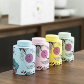 Šarena urna Lijesovi za kućne ljubimce Urne Držač za pepeo pasa Pepeo za kremiranje Urna za uspomenu Kolumbarij Spomenici kućnim ljubimcima