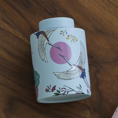 Šarena urna Lijesovi za kućne ljubimce Urne Držač za pepeo pasa Pepeo za kremiranje Urna za uspomenu Kolumbarij Spomenici kućnim ljubimcima