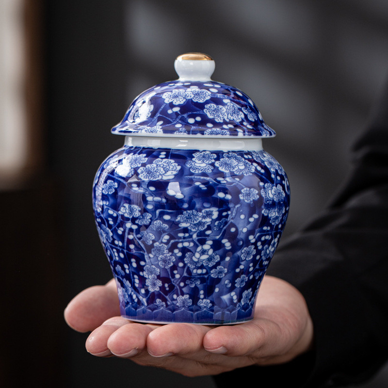 Urna za pogrebni pepeo za kremiranje ljudi Držač za pepeo kućnih ljubimaca Pepeo za uspomene na prijatelja Keramičke urne Kovčeg za urnu za psa, mačku, pticu