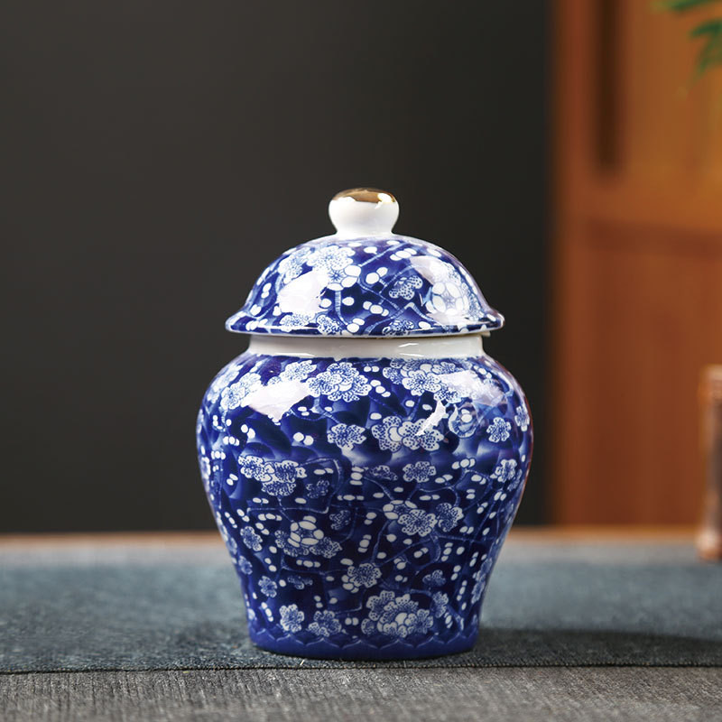 Urna za pogrebni pepeo za kremiranje ljudi Držač za pepeo kućnih ljubimaca Pepeo za uspomene na prijatelja Keramičke urne Kovčeg za urnu za psa, mačku, pticu