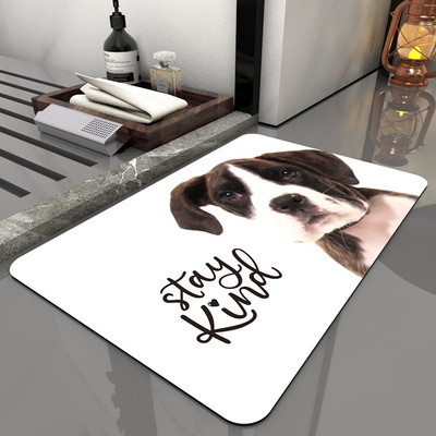 Super upijajuća prostirka za kupanje Dijatomejsko blato Kupaonski tepih Prostirka za ulazna vrata Diatomite Hodnik Protuklizna prostirka za noge Kupaonski pribor