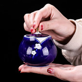 Memorijalni spremnik Urna za pepeo kućnih ljubimaca Ručno oslikana keramika Kremiranje urne Držač za pepeo ptica ptica Pokop kod kuće