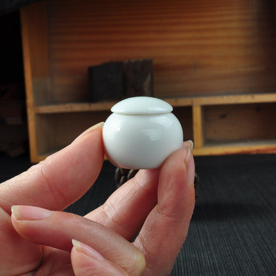 keramička urna za kućne ljubimce 35ml žare za kućne ljubimce kremacija mini miš mačka Pogrebna urna za pepeo životinjski pepeo kremiranje urne za uspomene