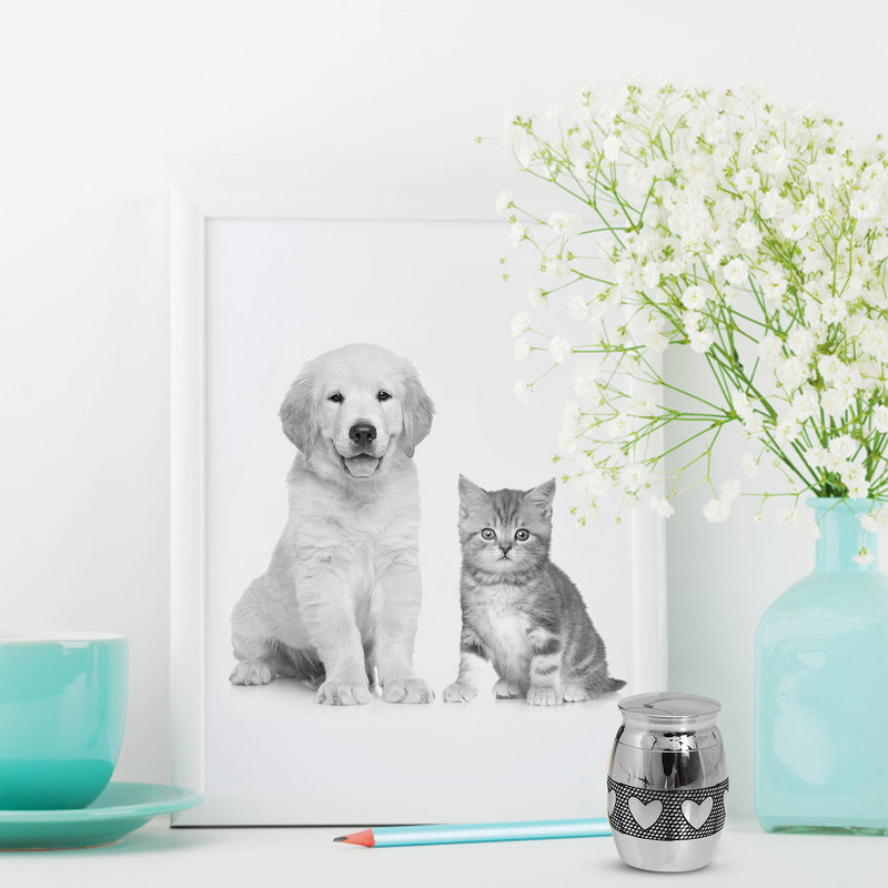 Urna Mājdzīvnieku Urnas Kremācijas kaste piemiņas kaķa piemiņa Apbedīšanas suns Pelnu keramikas apdares galds Dekoratīvs tērauda sinepes zārka burka