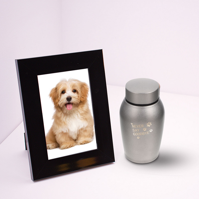 Urna Mājdzīvnieku piemiņas suņu kremēšana Urnas Piemiņas kaste Metāla bēru Tērauda Pelnu Kaķis Dzīvnieks Nerūsējošais Suņi Zārks Dāvanas Mini Cinery