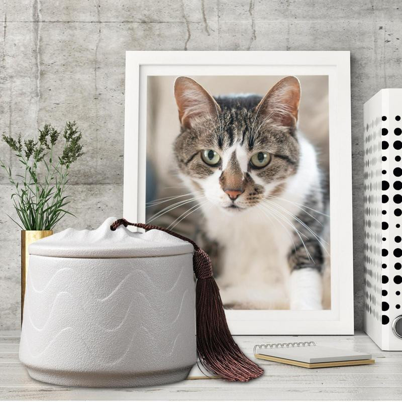 Urna za kućne ljubimce Keramika Spomen Urne za uspomene za mačke i pse Visokokvalitetna kremirana pogrebna urna za pepeo Spomen kutija za vječna sjećanja