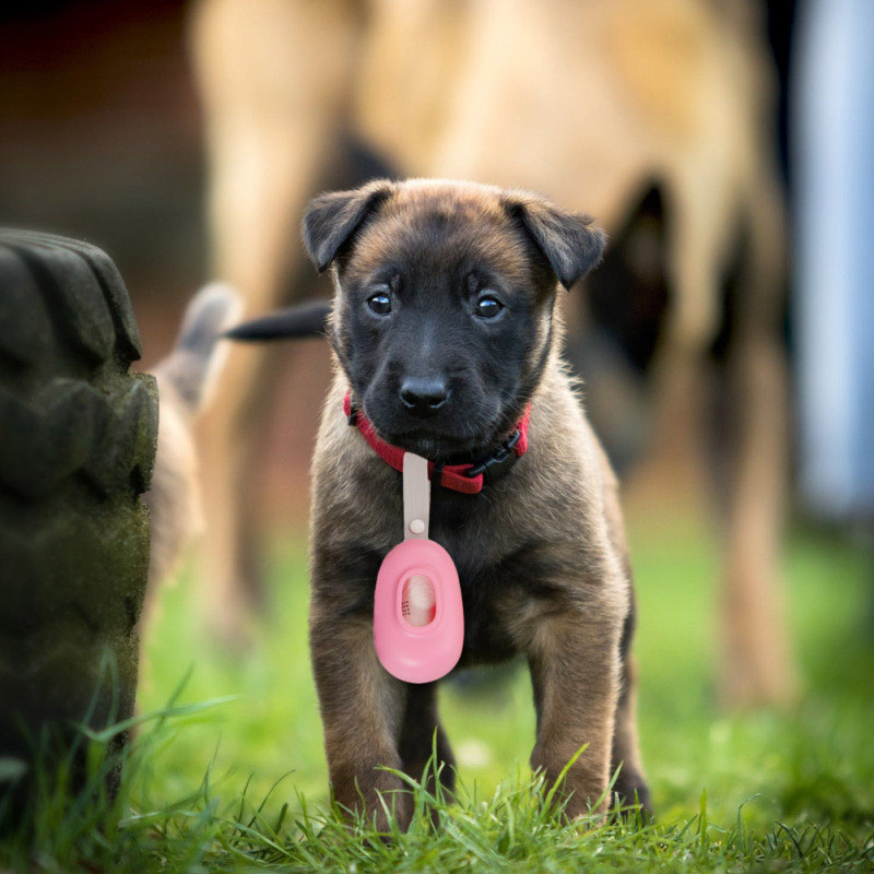 Prijenosna vrećica za pseći izmet Dozator vrećica za pseći izmet Držač vrećice za pseći izmet Plastična torba za vreću za smeće Torbica za pse Vreće za skupljanje kućnih ljubimaca