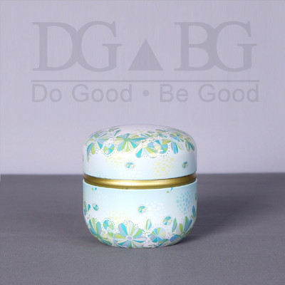 Memorijalna uspomena Urna za kremiranje Pogrebni žetoni Ljudski pepeo Male urne Pepeo kućnih ljubimaca Željezna limena kutija