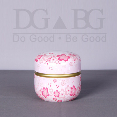 Memorijalna uspomena Urna za kremiranje Pogrebni žetoni Ljudski pepeo Male urne Pepeo kućnih ljubimaca Željezna limena kutija