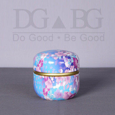 Memorijalna uspomena Urna za kremiranje Pogrebni žetoni Ljudski pepeo Male urne Pepeo kućnih ljubimaca Željezna limena kutija