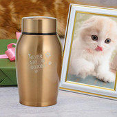 Male urne za pepeo Urna za kućne ljubimce Memorijalna posuda od nehrđajućeg čelika Urne za kućne ljubimce od nehrđajućeg čelika za pse Pepeo Never Say Goodbye Urna za psa