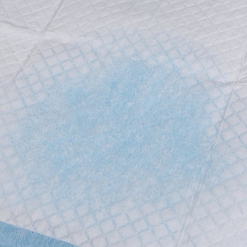 50/100gab Suņu apmācības urinēšanas spilventiņi, īpaši uzsūcoši mājdzīvnieku autiņbiksīšu vienreizlietojami veselīgi tīri autiņu paklāji mājdzīvniekiem, piena autiņbiksīšu piederumi