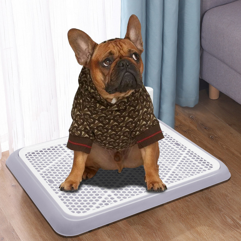 Siseruumides koerte treenimiskäimla kaasaskantavad koerad, pott 2-kihiline lemmikloomatualett isastele isastele koertele kassidele liivakasti kutsikapadjahoidja alus