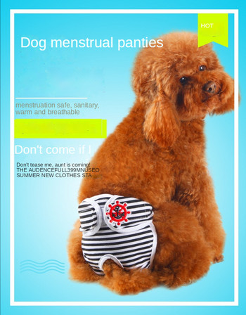 Физиологични панталони за домашни кучета Теди Безопасни хигиенни панталони Менструални панталони Женско куче Продукти за менструален цикъл Панталони за леля