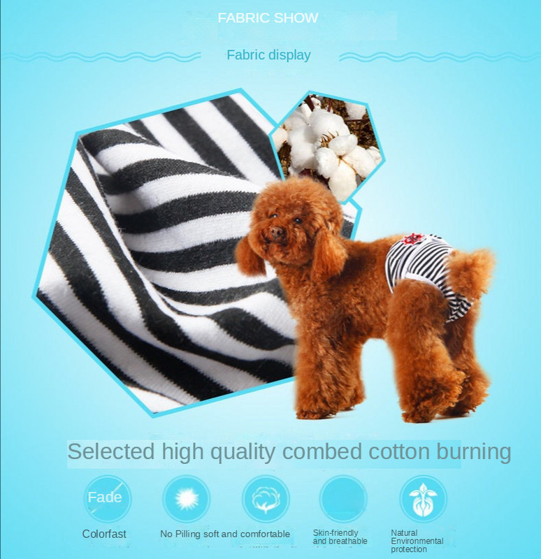 Mājdzīvnieku suns Fizioloģiskās Bikses Rotaļa Drošība Higiēnas Bikses Menstruālās bikses Sieviešu suns Menstruālā perioda produkti Apakšbikses Tante Bikses