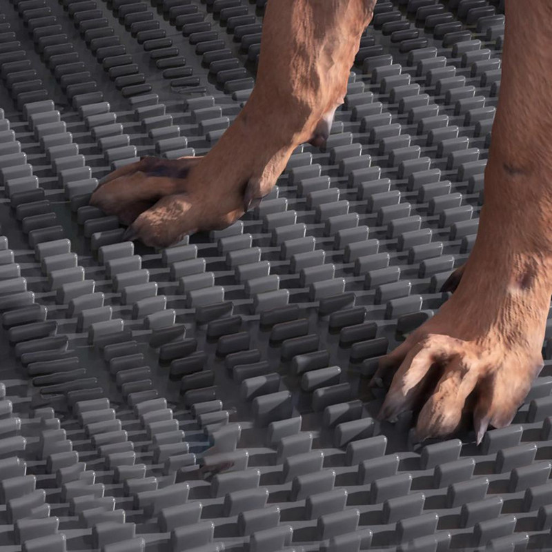 Lolojumdzīvnieku suņu tualete, atkārtoti lietojama, asaru izturīga Keep Paws treniņu spilventiņi mājdzīvnieku piederumi maziem vidēji lieliem suņiem